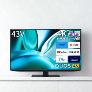 SHARP（シャープ） 液晶テレビ AQUOS 42V型 4T-C42FL1 (宅配サイズ商品