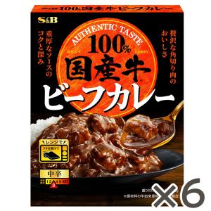 エスビー食品 備蓄用ビーフカレー 200g×30個 防災 備蓄 保存食