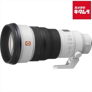 G Lens [新品]SONY ソニー E PZ 18-105mm F4 OSS SELP18105G