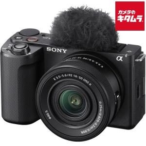 α（ソニー） ソニー SONY α6600 ILCE-6600 ボディ ブラック ミラーレス