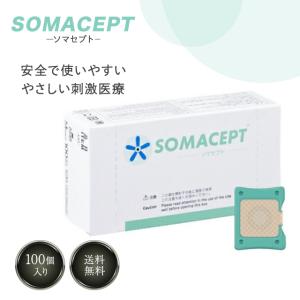 ソマレゾン L 100個入 : ビューティギャラリーこばやし - 通販 - Yahoo