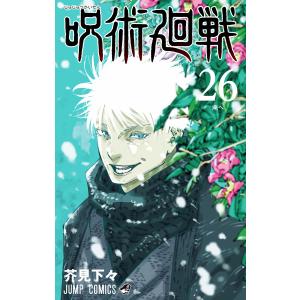 新品 / ウィッチウォッチ (1-24巻 最新刊) 全巻セット : 漫画全巻