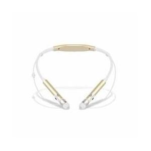 長期保証付】シナジートレーディング KBS0001 シャンパン ケンブン