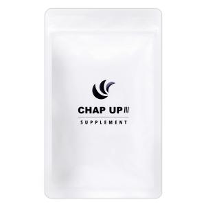 2袋セット 】 チャップアップ CHAPUP サプリメント 約30日分 120粒