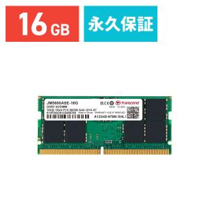 OMD5560016G [デスクトップ用 / DDR5 SDRAM（288pin） 16GB DDR5-5600