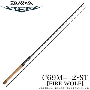 DAIWA（ダイワ） (7)【目玉商品】ダイワ 21 スティーズC610H-SV