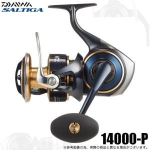 シマノ（SHIMANO） 19ステラSW10000PG : フィッシング相模屋Yahoo!店