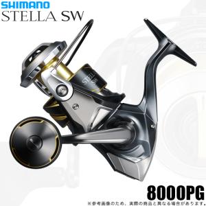 シマノ（SHIMANO） 21 ツインパワーSW (TWIN POWER SW) 8000PG 送料
