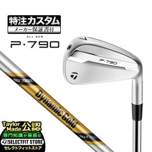 TaylorMade（テーラーメイド） P790アイアン ダイナミックゴールドEX