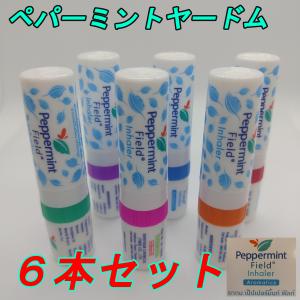 ヤードム スースー タイ 花粉症 鼻炎 眠気覚まし 気分転換 6本×2セット