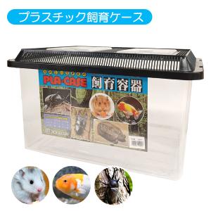 三晃商会 爬虫類 飼育ケース Repti wild レプタイルボックス WIDE