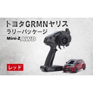 ふるさと納税 雑貨・日用品 神奈川県 厚木市 ミニッツAWD レディセット