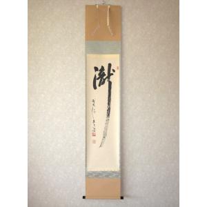 茶掛け 茶掛 日々是好日 紫野大徳寺 黄梅院住職 小林太玄 （真筆・新品