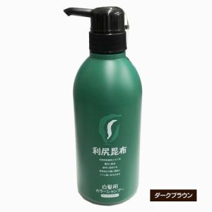 利尻 利尻カラーシャンプー 500mL（ブラック） : ヘルスケア コヤマ