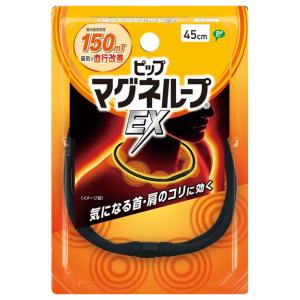 ライフウェーブ アイスウェーブ パッチシール 30枚 説明書付き