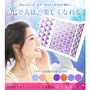 アデランス LED照射パネル ビルガ イタリアンレッド AD-BS02-R