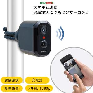 ドライブマン センサーカム IR-1 ポータブル監視ビデオカメラ 赤外線