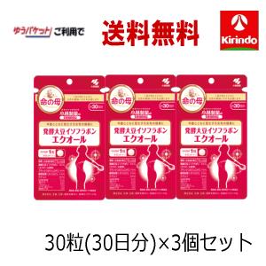 小林製薬 【2個セット】【メール便発送】小林製薬 発酵大豆