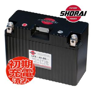 即日発送発送 正規代理店 LFX14A2-BS12 SHORAI(ショーライ) リチウム