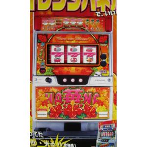 沖王伝-30 オキオウ パイオニア SLOT【パチスロ実機/パンフレット
