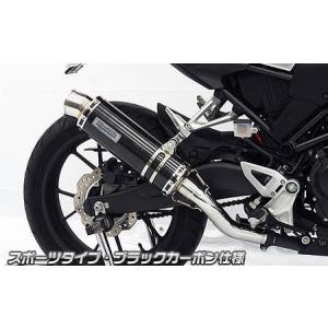 CB250R（8BK-MC52） スリップオンマフラー ユーロタイプ ステンレス