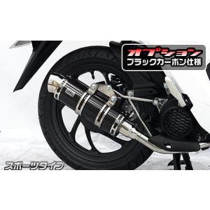 ロイヤルマフラー ユーロタイプ ステンレス ウイルズウィン（WirusWin