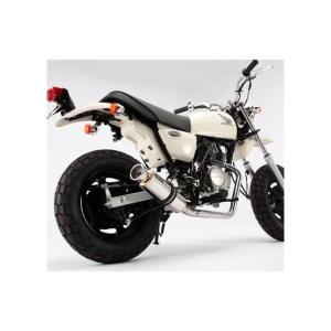 ロッドショートマフラー ウイルズウィン（WirusWin）APE（エイプ）100
