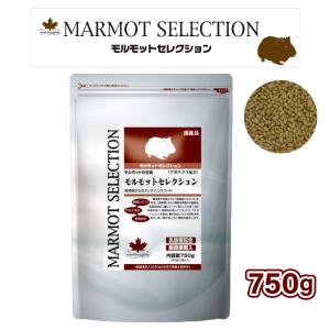 SELECTION PRO. イースター モルモットセレクションプロ 600g×2袋