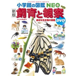 小学館の図鑑NEO) 昆虫2 DVDつき 地球編 : 枚方 蔦屋書店 Yahoo!店
