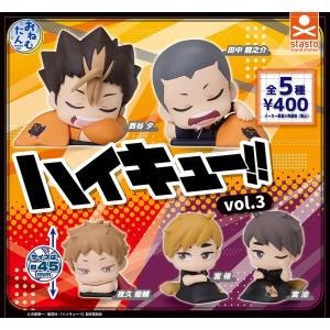 未開封ハイキュー フィギュア 木兎光太郎 -エースの心得- BFファイナル