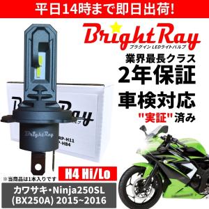 BrightRay(ブライトレイ) カワサキ ゼファーX ZEPHYR X ZR400C LED
