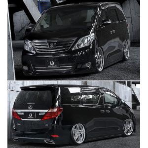 20系アルファード ヴェルファイア キャンバープレート 1度 3度