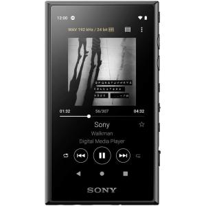 ソニー SONY ウォークマン 32GB Aシリーズ NW-A106 : ハイレゾ対応