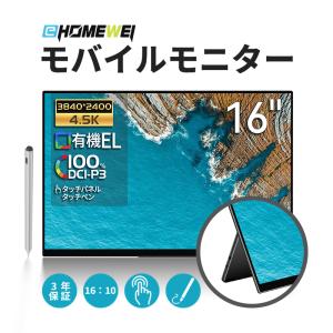 EHOMEWEI モバイルモニター EHOMEWEI LQG-156PW ゲーミングモニター