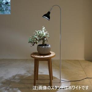 BARREL(バレル) 専用ライトスタンド BA-ST184-WH フレキシブルアーム