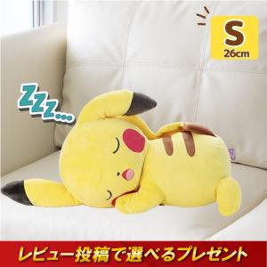 Pokemon（ポケモン） ポケモンセンターオリジナル ぬいぐるみ