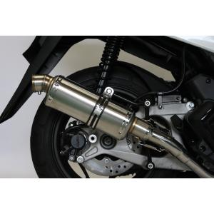 REALIZE（リアライズ） Realize PCX125 マフラー 2BJ-JK05 8BJ-JK05