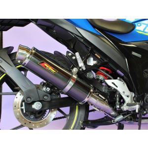 Realize ジクサー250 ジクサーSF250 バイクマフラー 2BK-ED22B 8BK