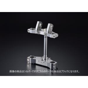 61059 Z1/Z2 BKステムKIT（43・205） : モーターハウスベスト