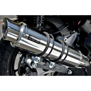 TST ティーエスティー カーボンマフラーキャップ CBR600RR HONDA