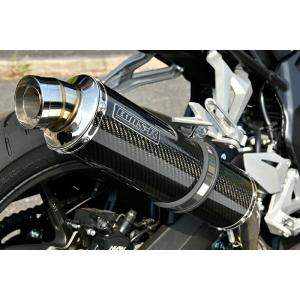 AKRAPOVIC（アクラポビッチ） JMCA仕様 スリップオンラインマフラー
