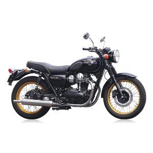 r's gear（アールズギア） 【2月27日出荷】アールズギア W800（'11-'16