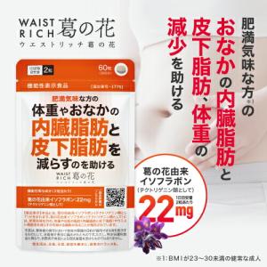 キラリズム スリリン ファイア SLILIN F 22.5g ( 250mg × 90粒 ) ZERO