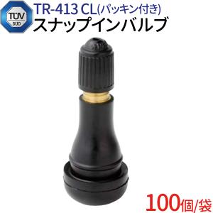 100個入り チューブレスバルブ TR413 標準タイプ 太平洋工業 PACIFIC