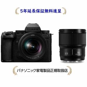 LUMIX パナソニック DC-FZ85D-K[5年延長保証無料進呈]LUMIX コンパクト