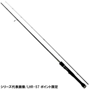 34/サーティ―フォー アジングロッド アドバンスメント PSR-60 ザ