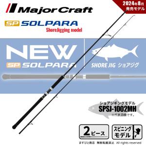 DAIWA（ダイワ） ショアジギングロッド ショアジギングX 100MH 22年