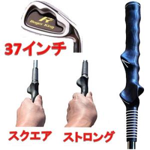 広田ゴルフ ゴルフ練習器具 ロジャーキング トレーニング ヘビー