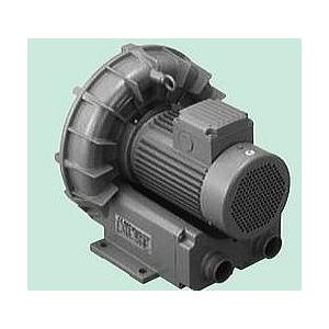 テラル(旧富士電機製)リングブロア VFZ301A : メカニカルサポート