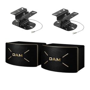 DAMカラオケスピーカーセット ワイヤレスマイク2本付き 自宅カラオケに